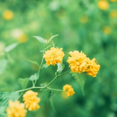 awpmode枪械解锁版下载